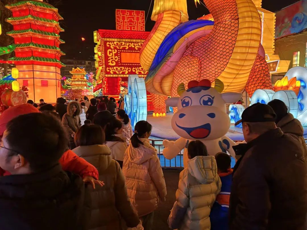 央視直播鄭州龍年燈會迎新春，花花牛品牌上大分