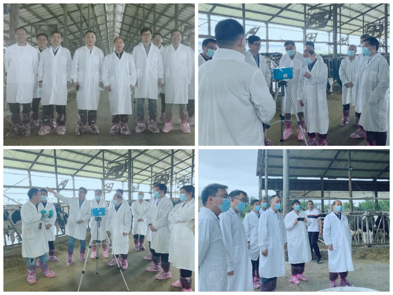 花花牛丨河南農(nóng)業(yè)大學(xué)黨委副書記、校長介曉磊一行蒞臨花花牛河南瑞亞參觀調(diào)研