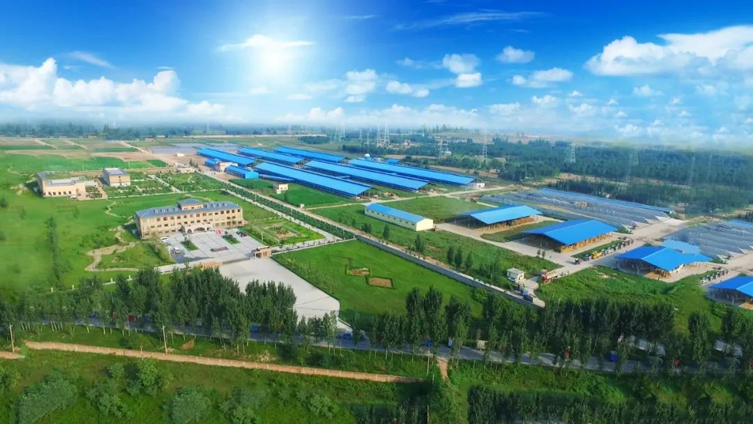 花花牛丨河南農(nóng)業(yè)大學(xué)黨委副書記、校長介曉磊一行蒞臨花花牛河南瑞亞參觀調(diào)研