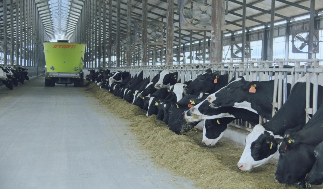 北京大學(xué)南南合作與發(fā)展學(xué)院教授、全球伙伴關(guān)系主任周詠梅一行蒞臨花花牛平輿瑞亞牧業(yè)參觀調(diào)研