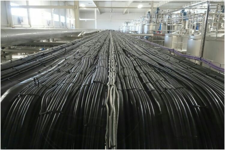 走進(jìn)工廠(chǎng) 走進(jìn)工廠(chǎng)