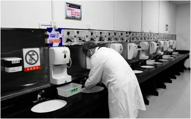 走進(jìn)工廠(chǎng) 走進(jìn)工廠(chǎng)