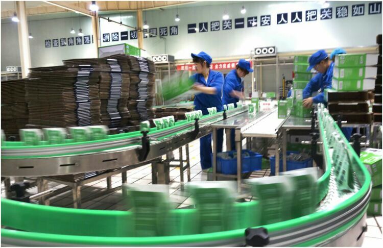 走進(jìn)工廠(chǎng) 走進(jìn)工廠(chǎng)