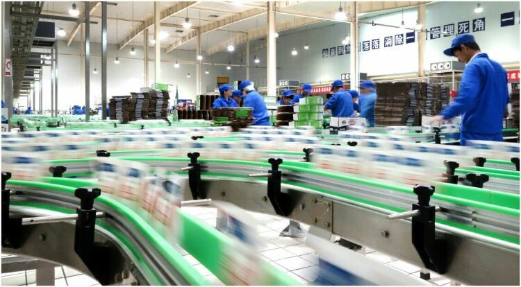 走進(jìn)工廠(chǎng) 走進(jìn)工廠(chǎng)